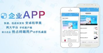 廣州企業(yè)APP開(kāi)發(fā) 網(wǎng)絡(luò)與信息安全軟件的價(jià)格關(guān)切與選擇策略